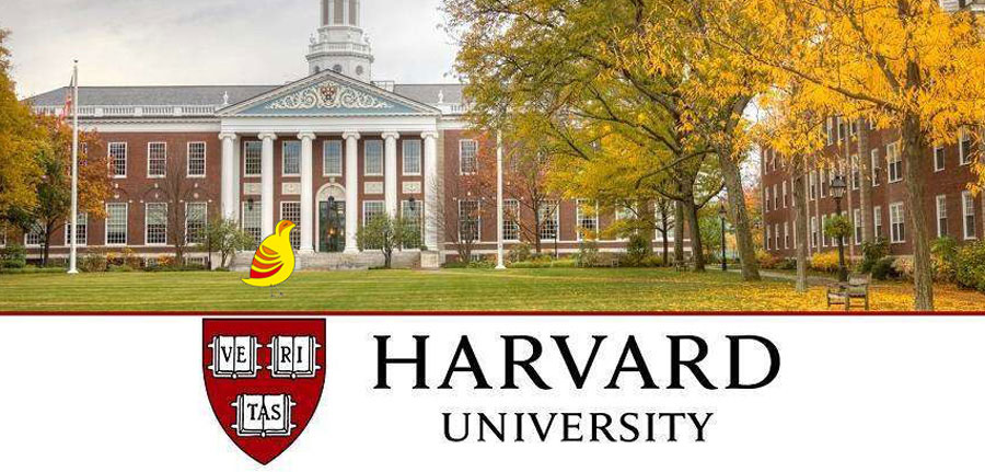 تدریس با هوش مصنوعی در دانشگاه هاروارد