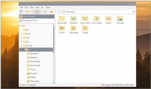 The 
File Manager
