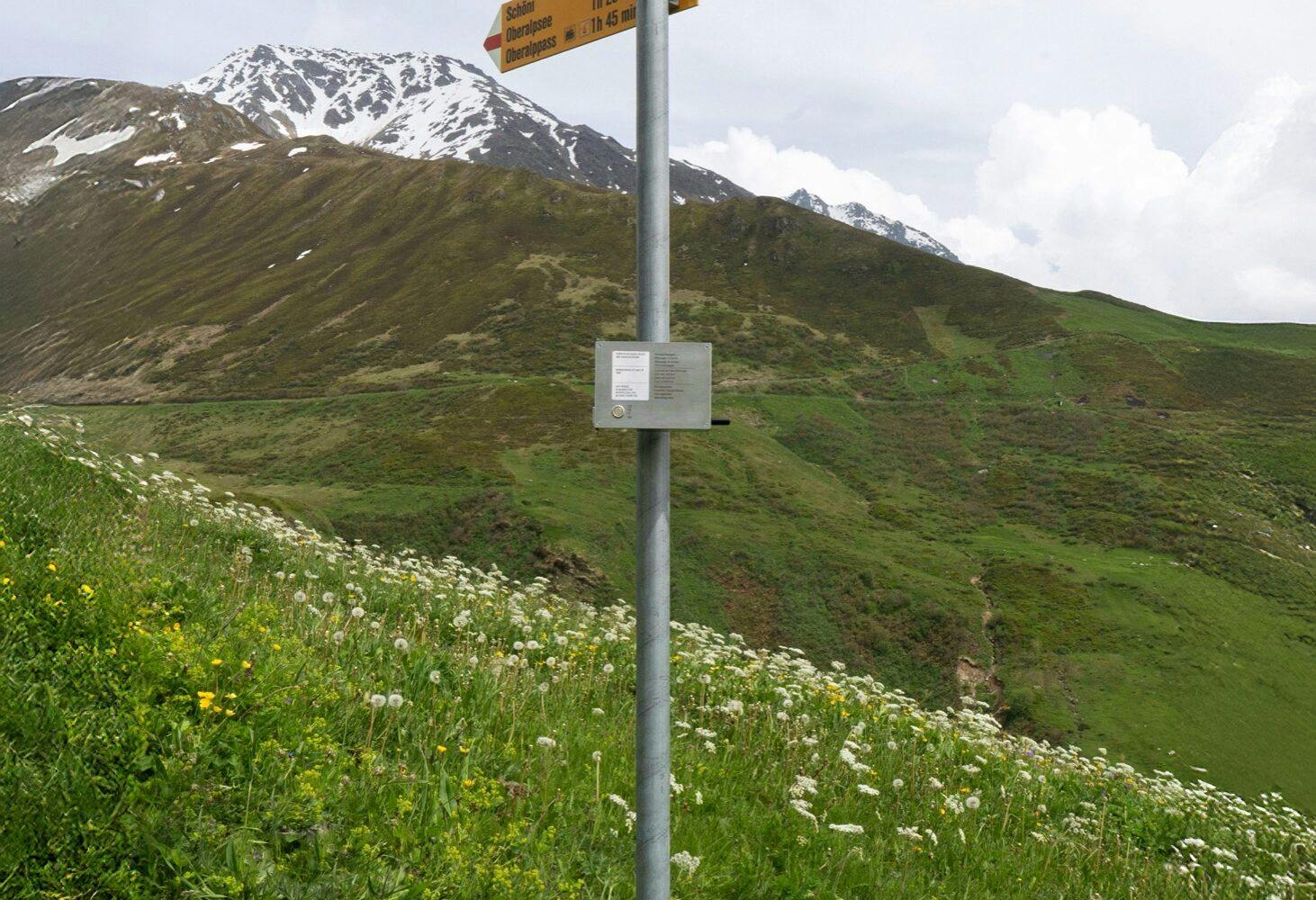 Trail Sync: شبکه آفلاین آلپ با جعبههای ESP32 و اپ موبایل؛ هشدار مسیر بدون اینترنت 1 نمونه ای از نصب دستگاه