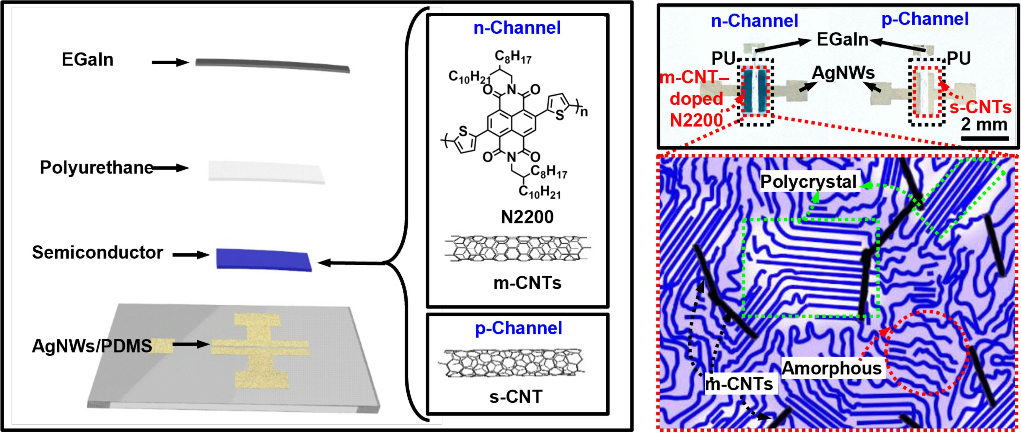 انقلابی در مواد نرم: Rubber CMOS برای عصر رباتیک و پوشیدنی‌های هوشمند