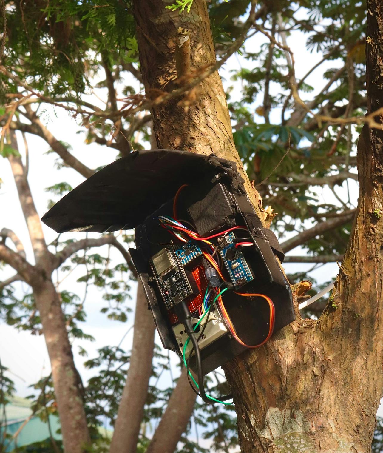 سامانه ReforestAI؛ ابتکار سه نوجوان نیجریهای برای مبارزه با قطع غیرقانونی درختان با هوش مصنوعی و ESP-NOW 1 دستگاه ReforestAI