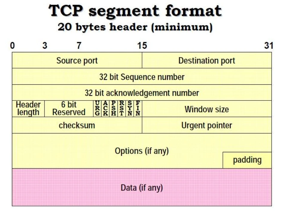 هدر tcp