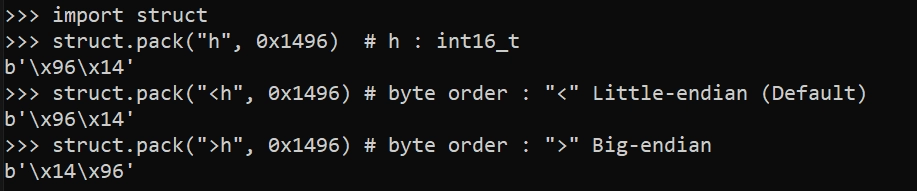  ارسال و دریافت داده‌های چند بایتی در Python