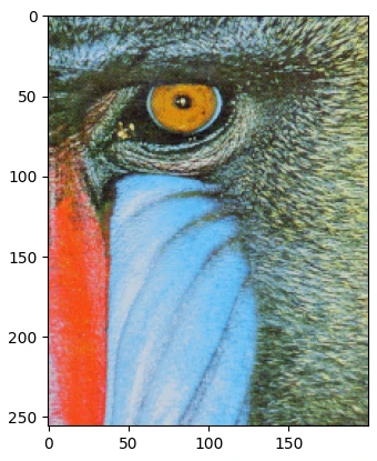 برش تصویر، مدیریت کانال‌های رنگی و ویرایش پیکسل‌ها با Array Indexing در پایتون